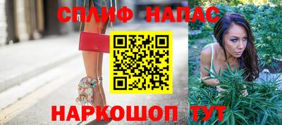 PSILOCYBIN Заводоуковск