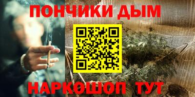 PSILOCYBIN Заводоуковск